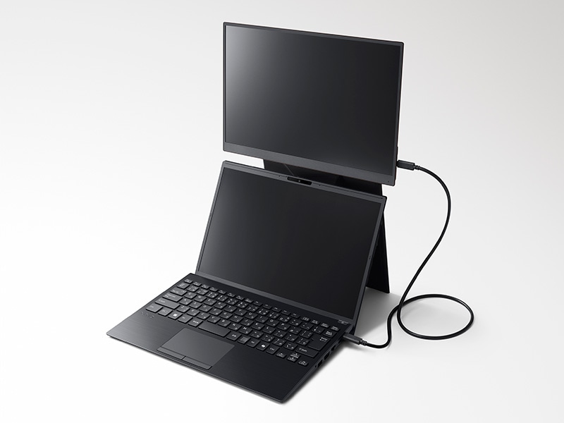 VAIO Vision+®