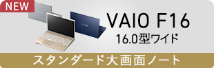 VAIO F16 16.0^Ch